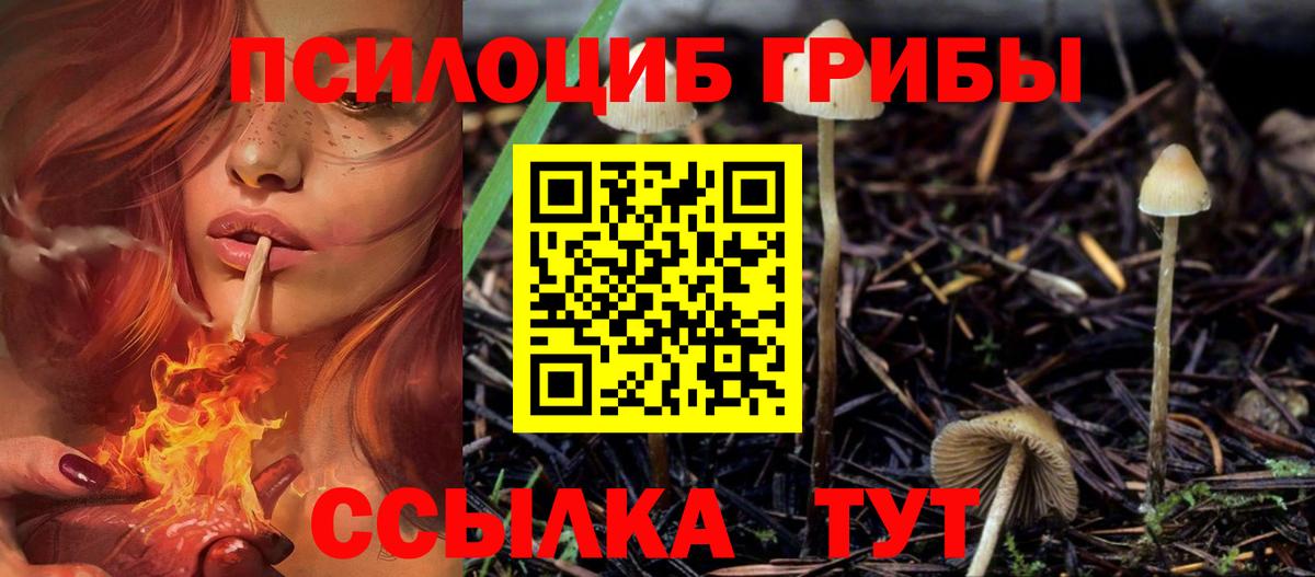 Псилоцибиновые грибы мухоморы  Вход с VPN  Ессентуки 